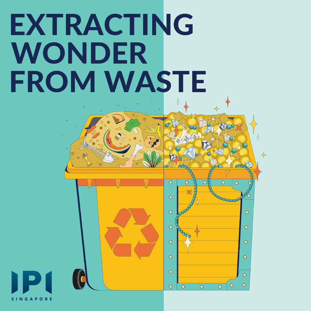 Extracting Wonder from Waste