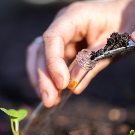 Nano Iron Supplement For Plants